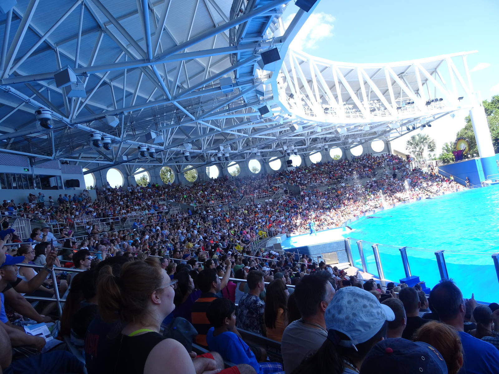 One Ocean Audience at SeaWorld Orlando