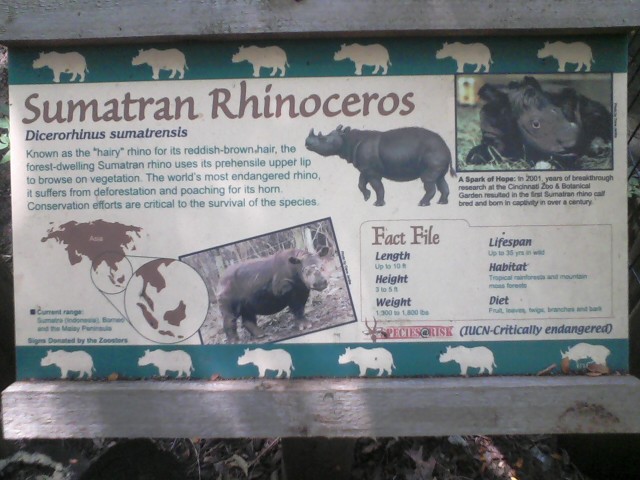 One of a kind Signage Example