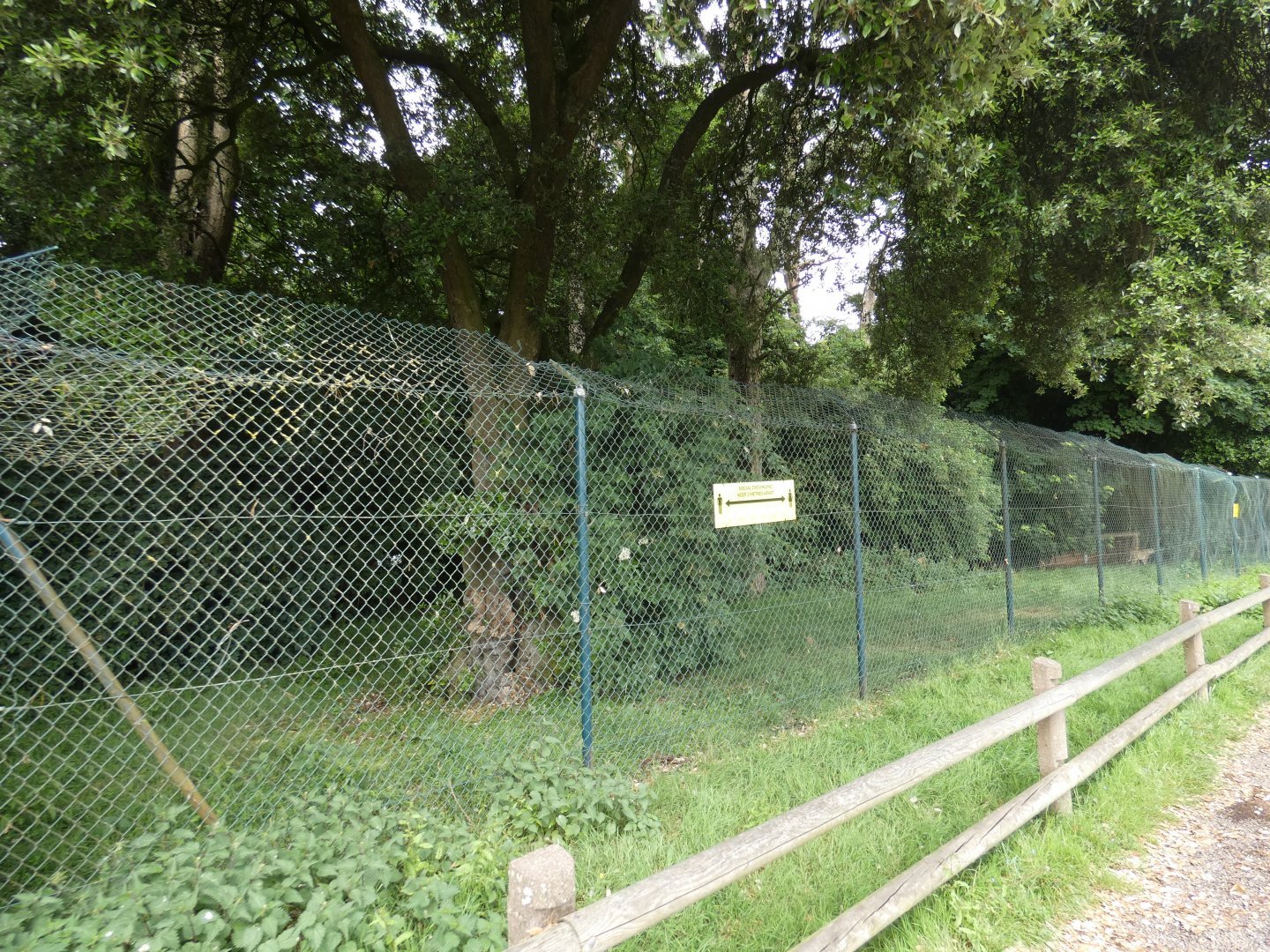 One of a row of Cheetah enclosures