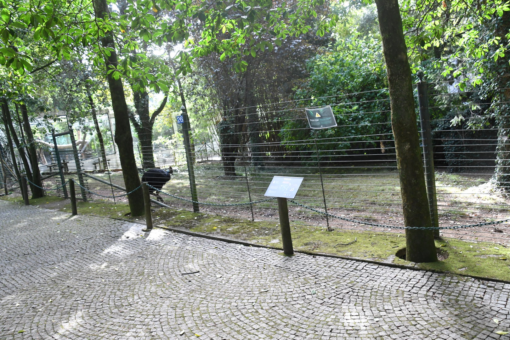 One of Cassowary paddocks (Zoo Lourosa)
