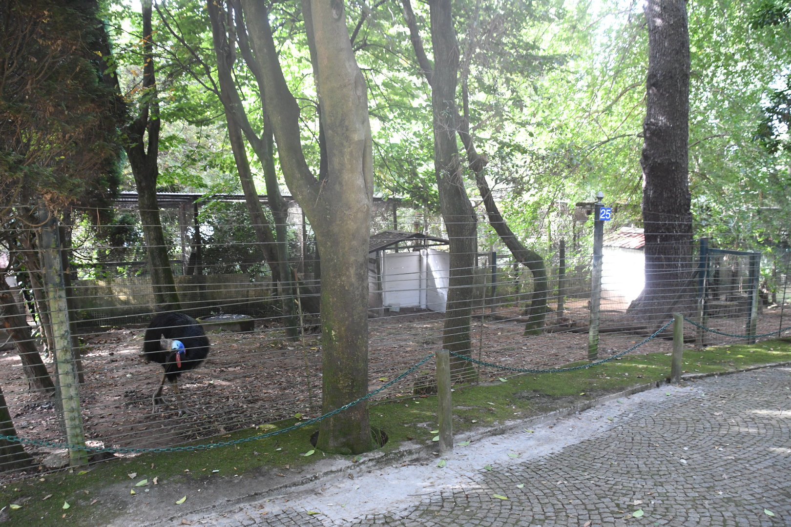 One of Cassowary paddocks (Zoo Lourosa)