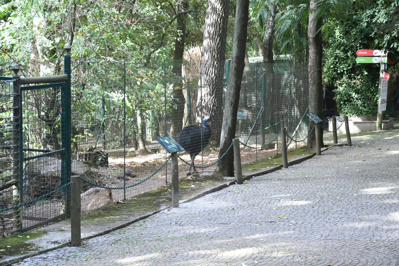 One of Cassowary paddocks (Zoo Lourosa)