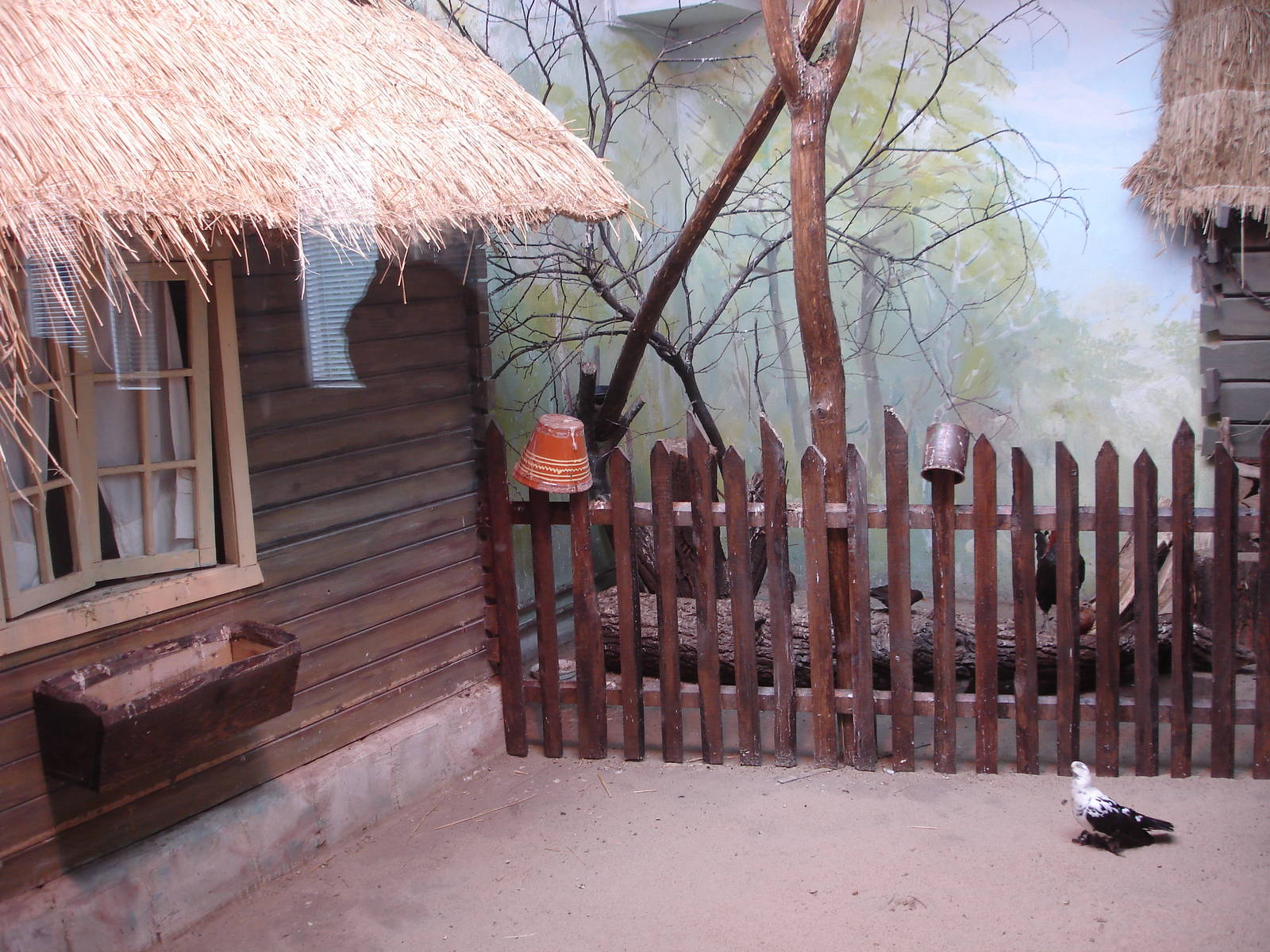 One of exposition in Bird House with domestic birds