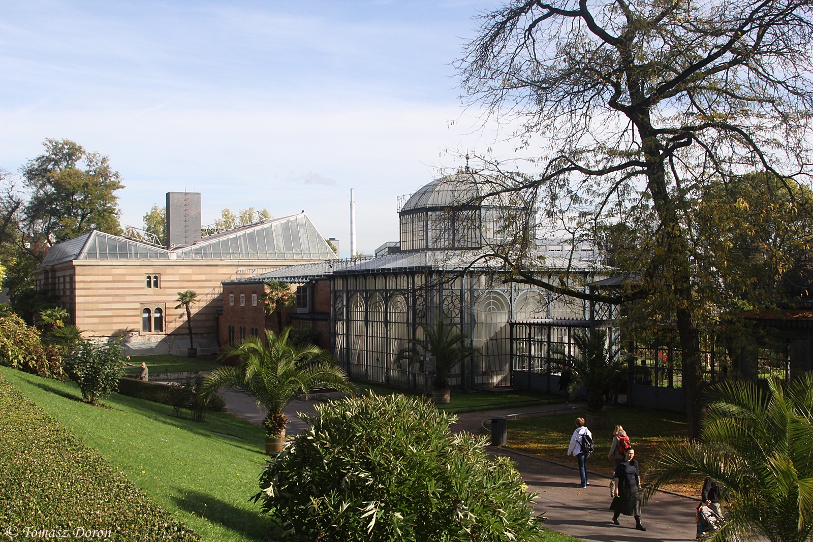 One of few Greenhouses