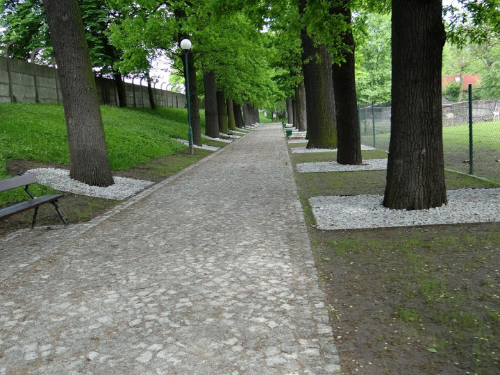 One of lanes in the zoo after the repair