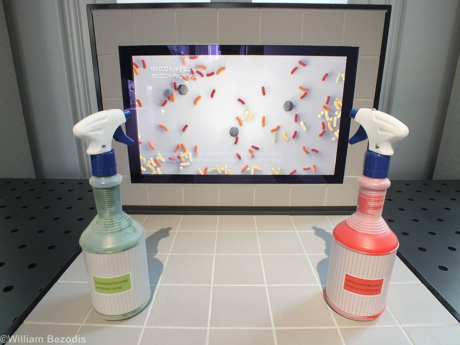 One of many Interactive Displays- Micropia