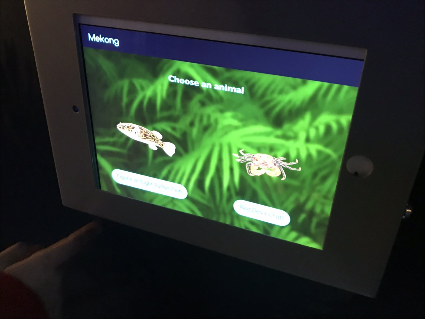 One of many interactive signs 260519