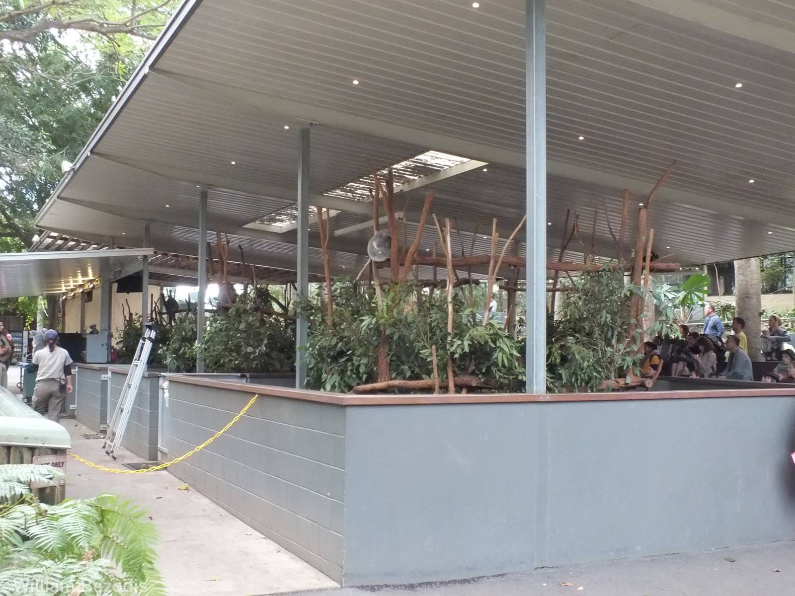 One of Many Koala Enclosures