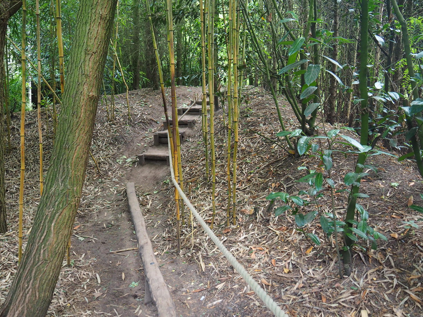 One of many little adventure trails in the zoo, 2019-08-11