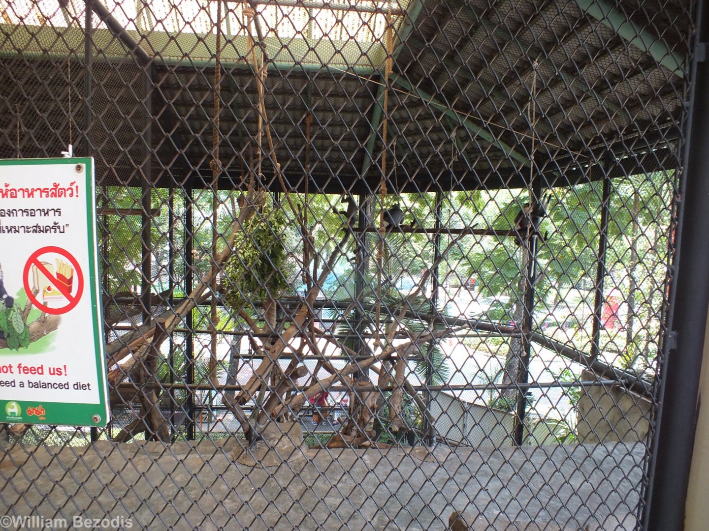 One of Many Red-shanked Douc Cages