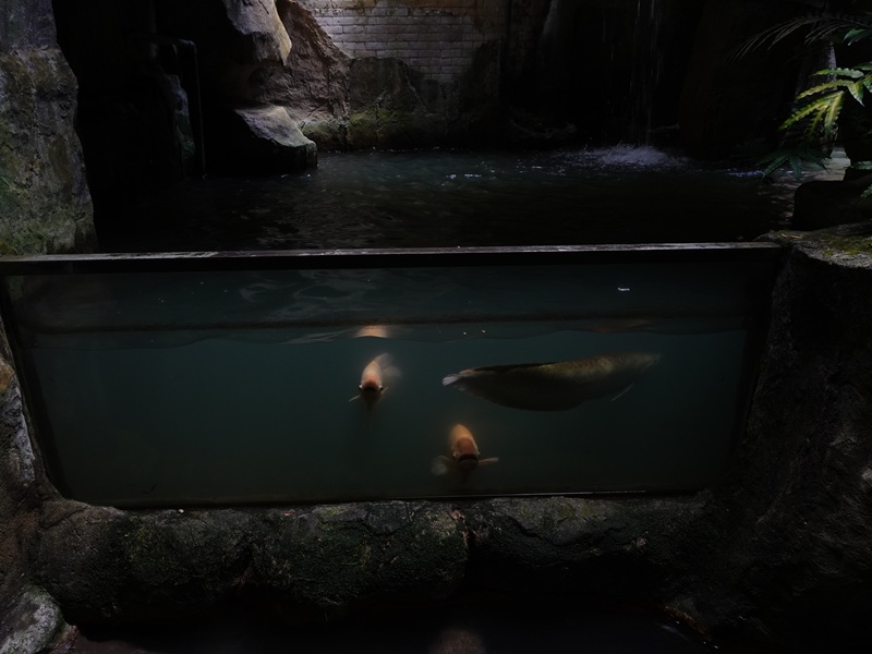 One of many tanks in the aquarium building