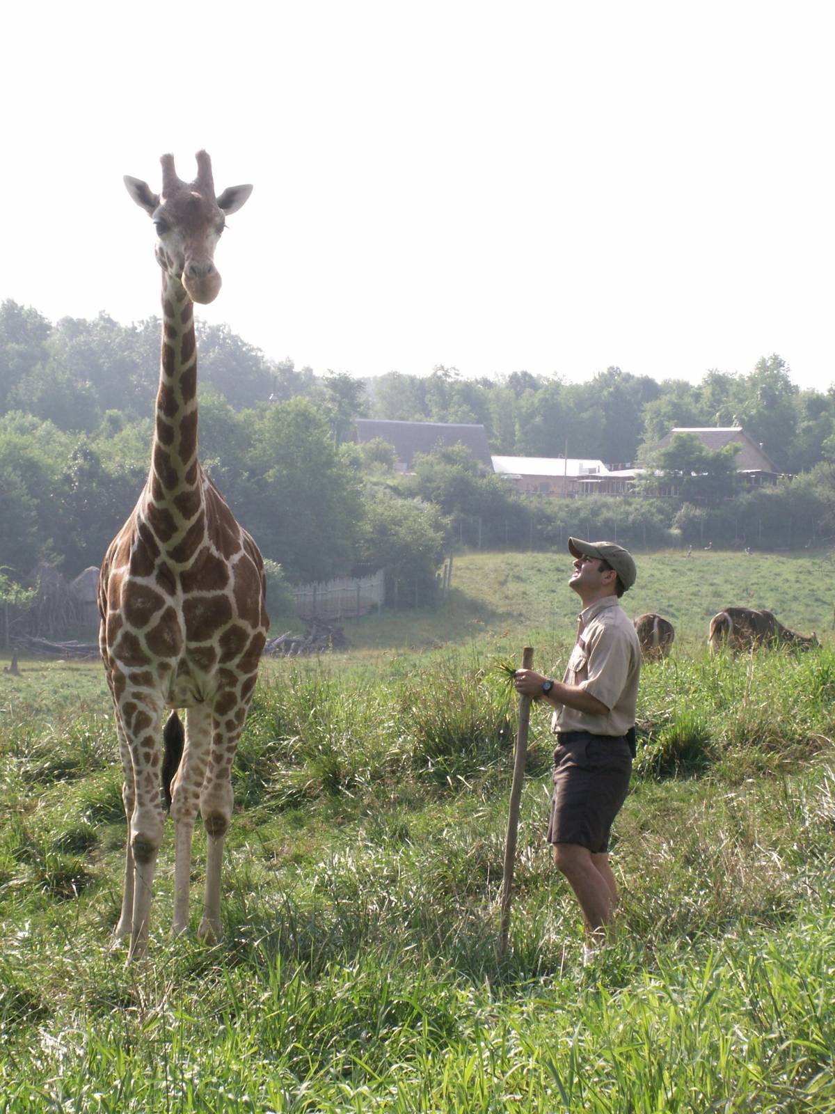 one of my favorite pictures