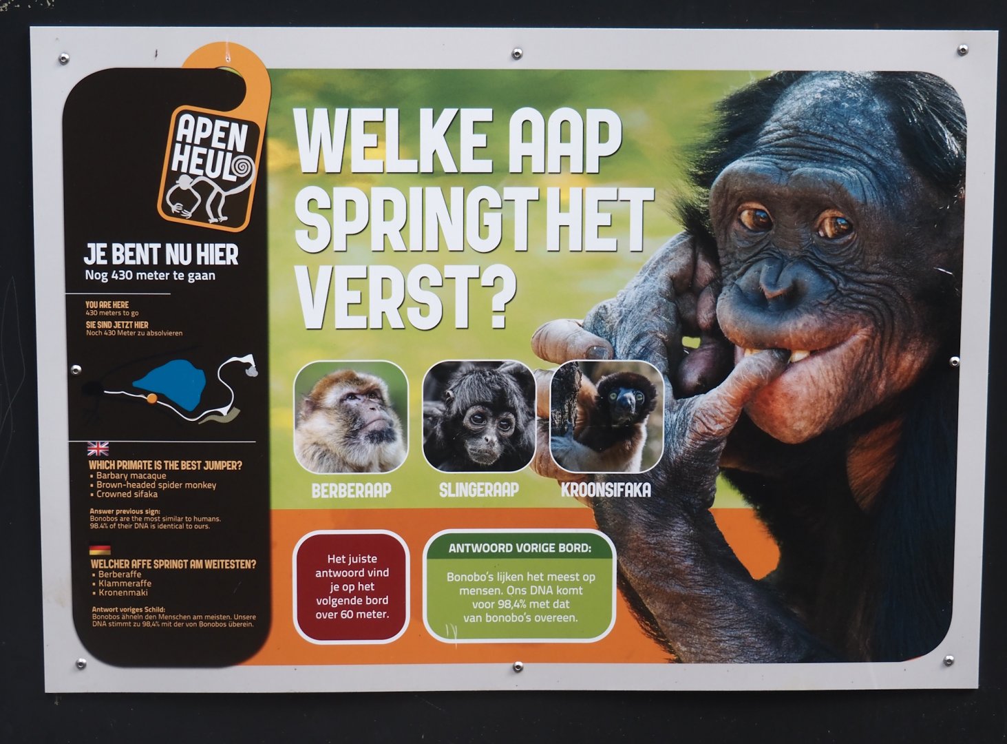 One of primate quiz signs alongside the route through Park Berg & Bos to Apenheul, 2024-08-18