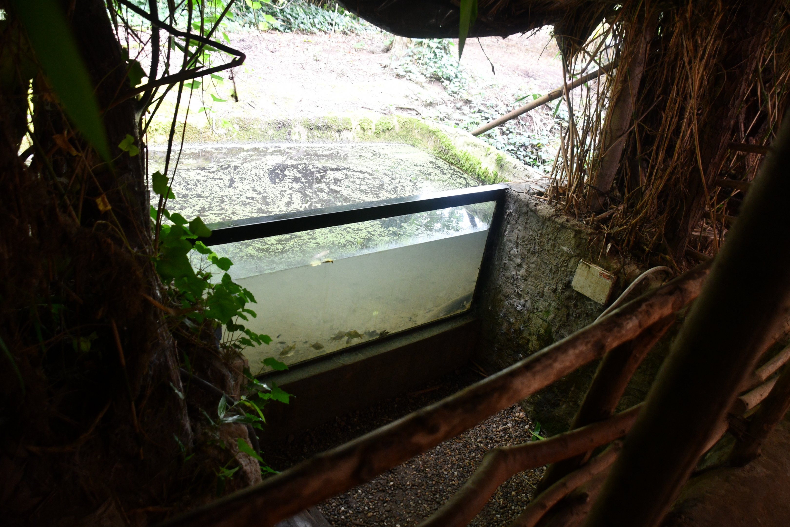 one of several fishtanks in "The River" corridor