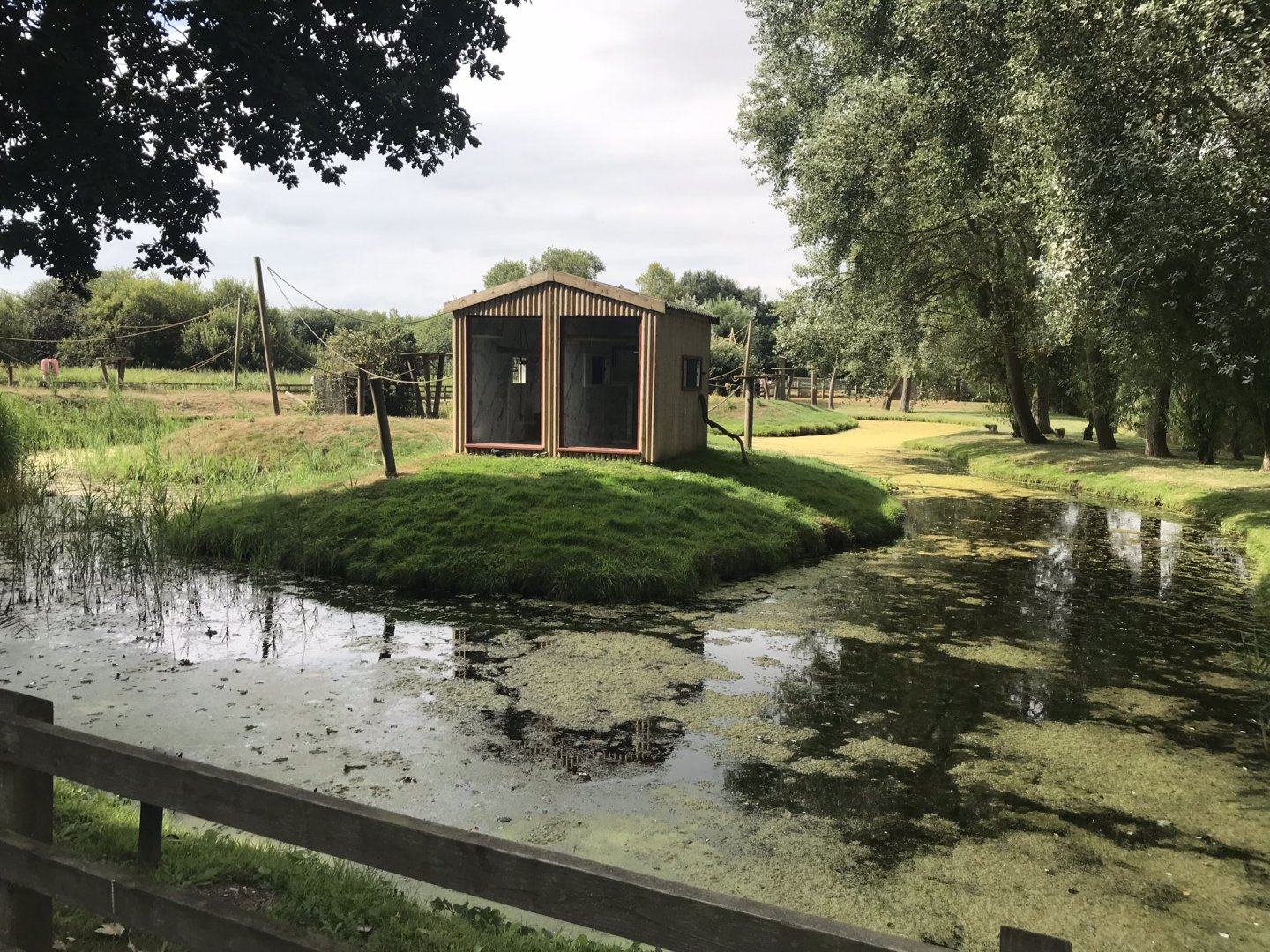 One of several Lemur islands 080818