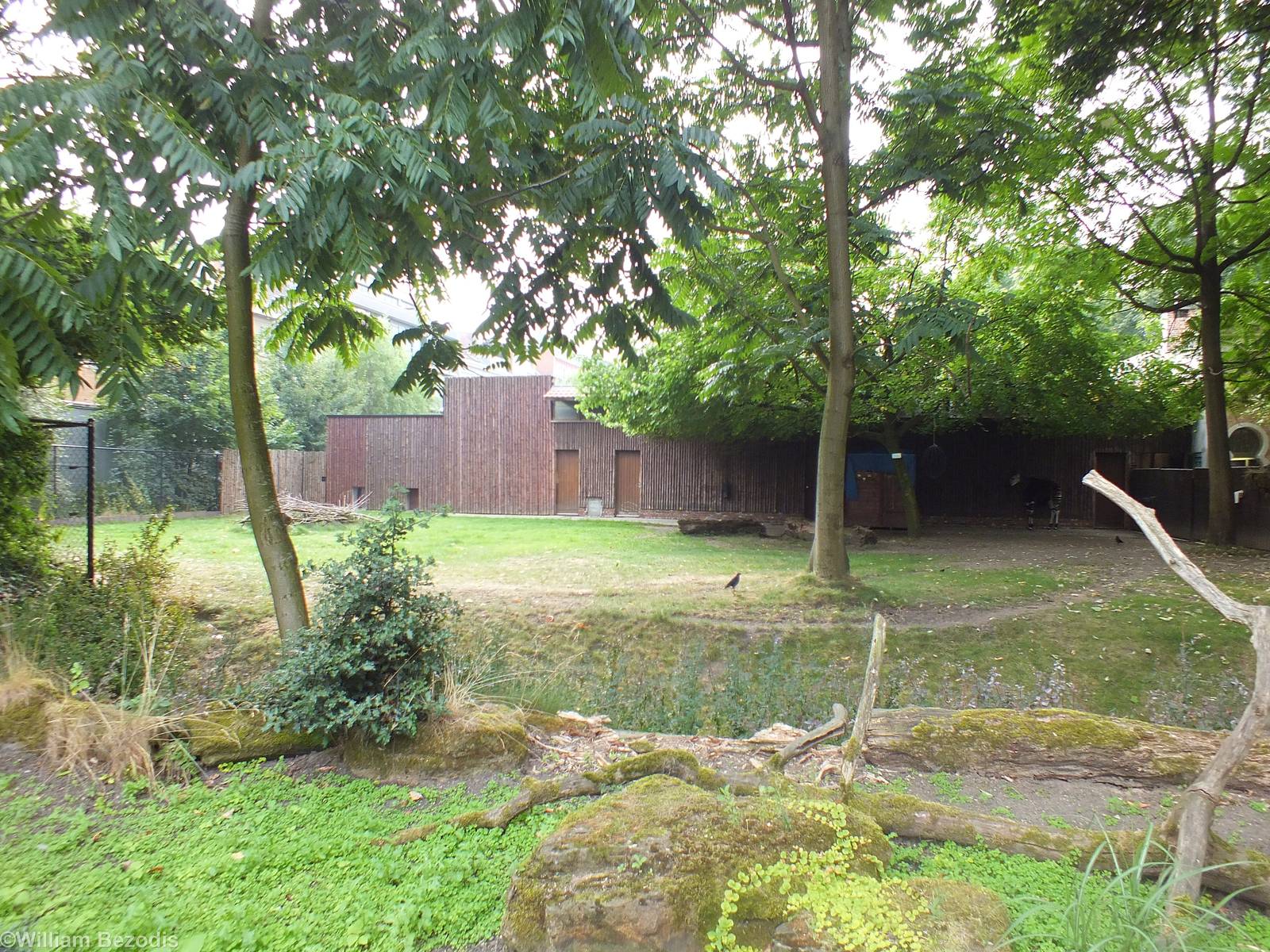 One of Several Okapi Enclosures