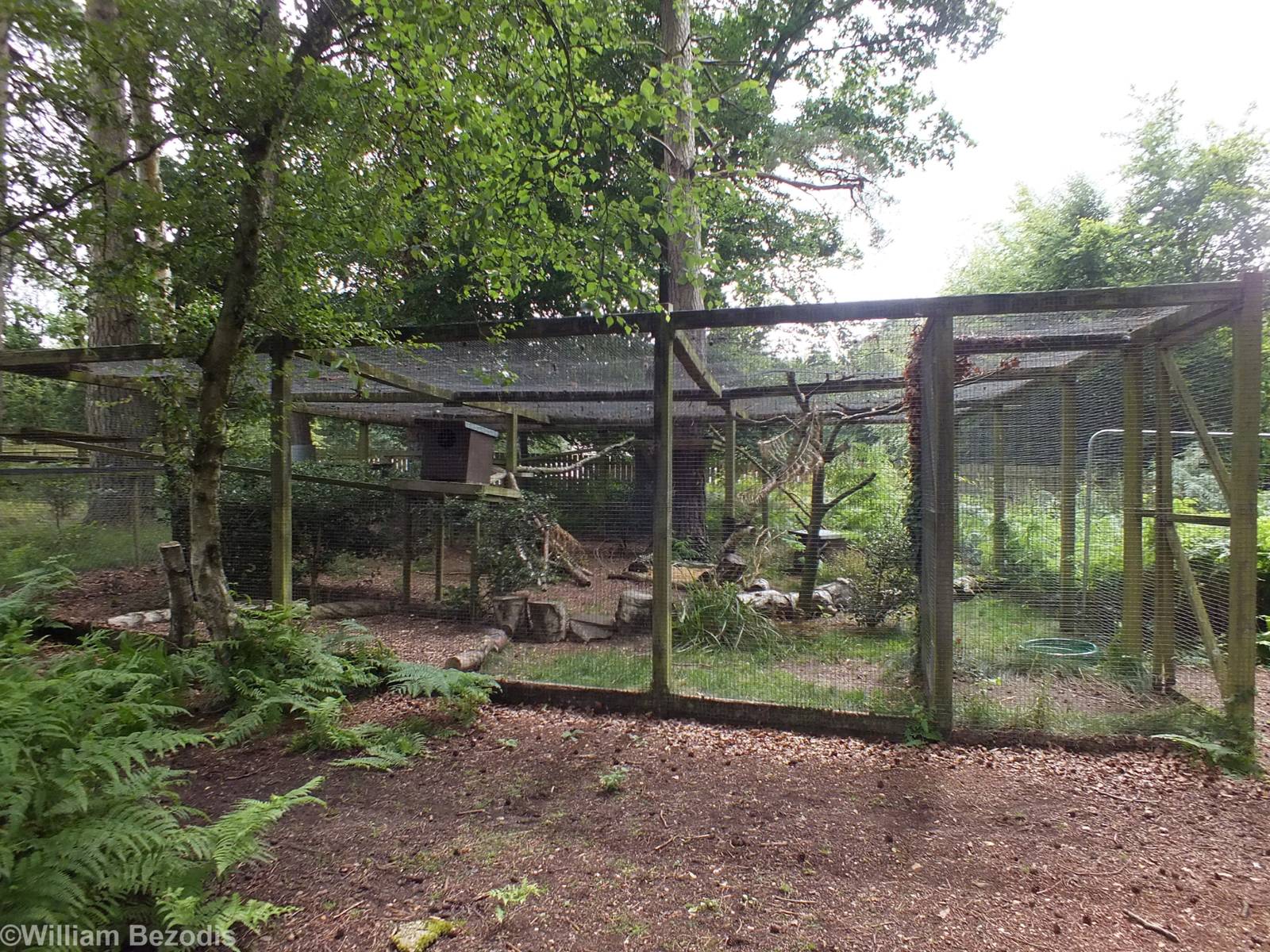 One of Several Scottish Wildcat Enclosures