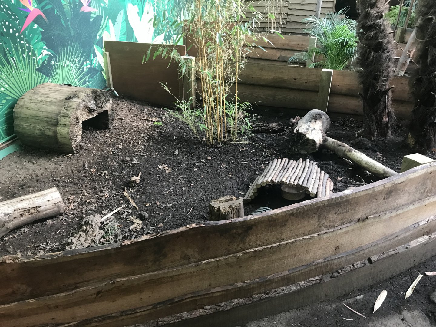 One of the 3-banded armadillo enclosures