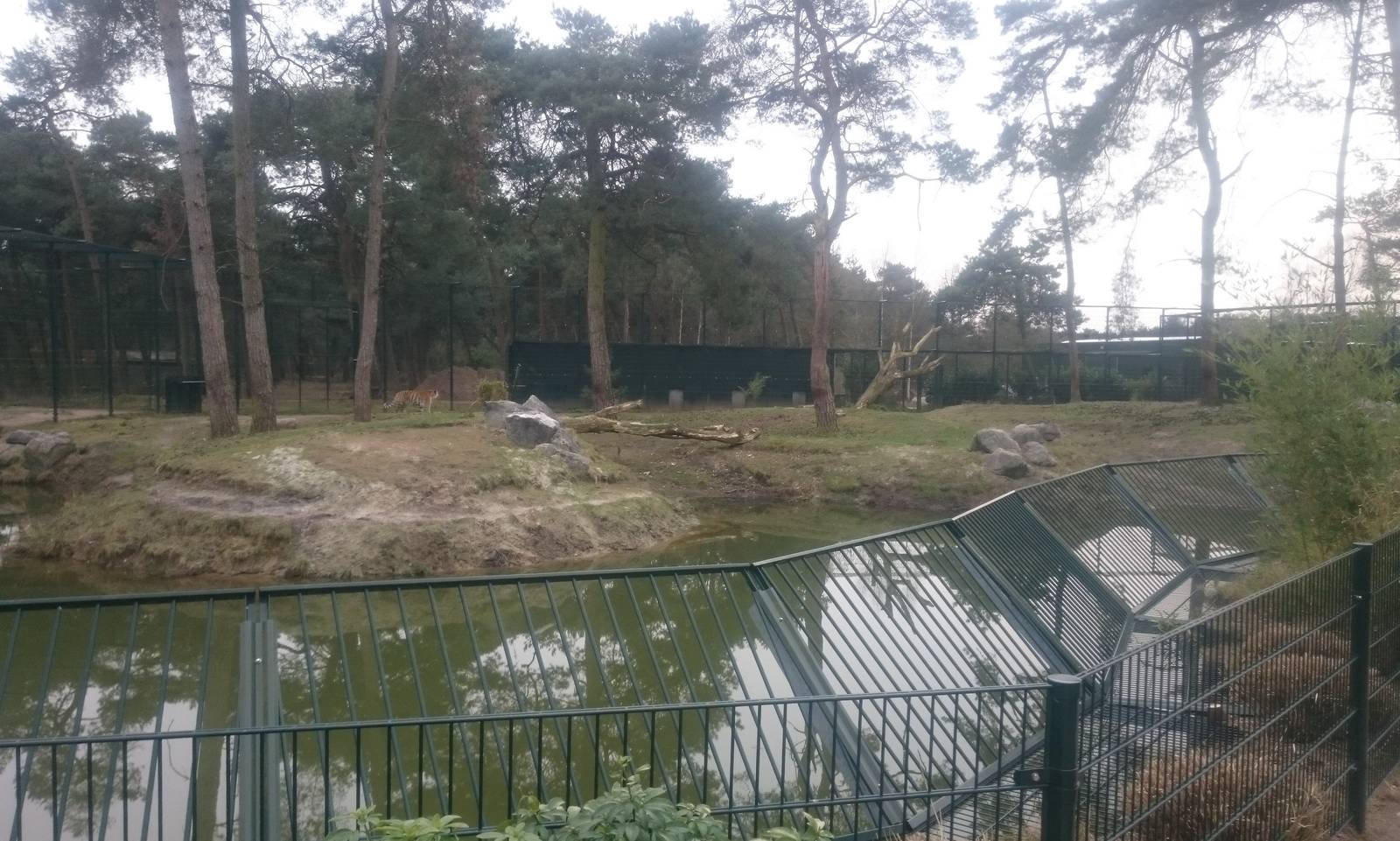 One of the Amur tiger enclosures