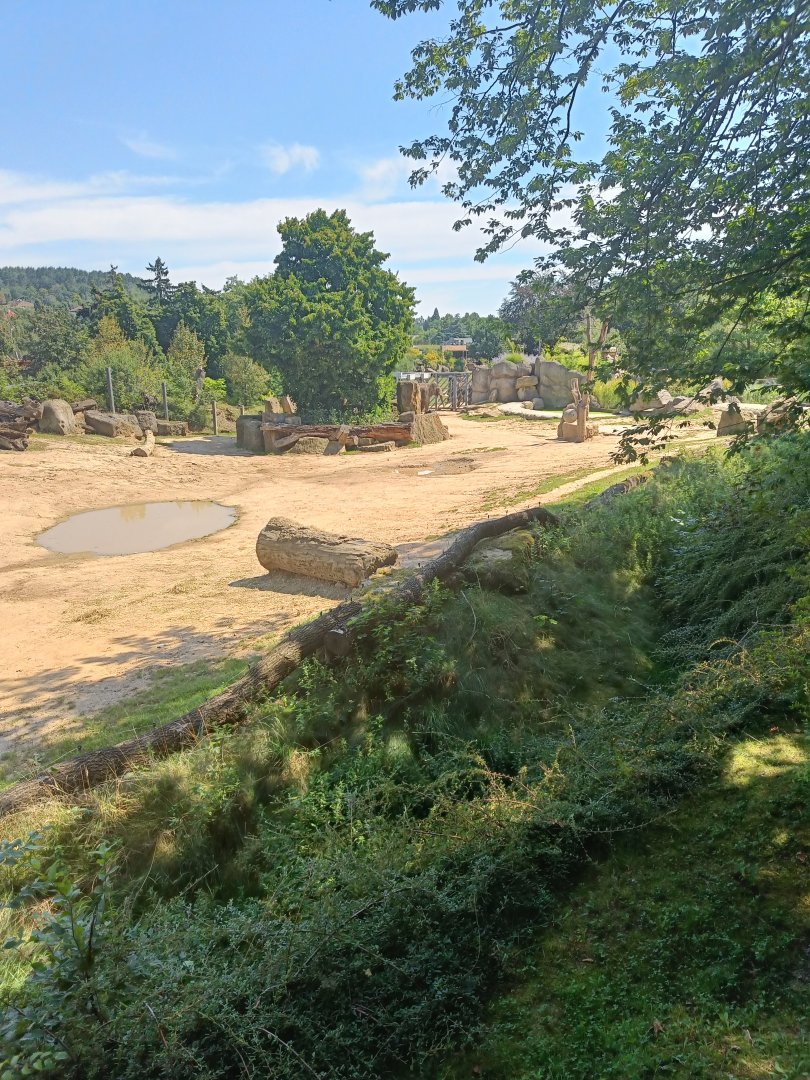 One of the Asian Elephant enclosures - Elephant Valley