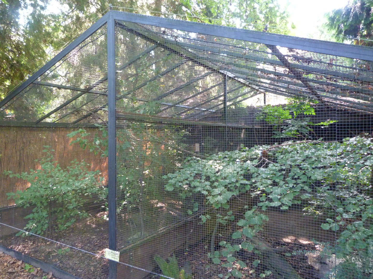 One of the aviaries at the Pheasantry -Zoo Praha (2025)