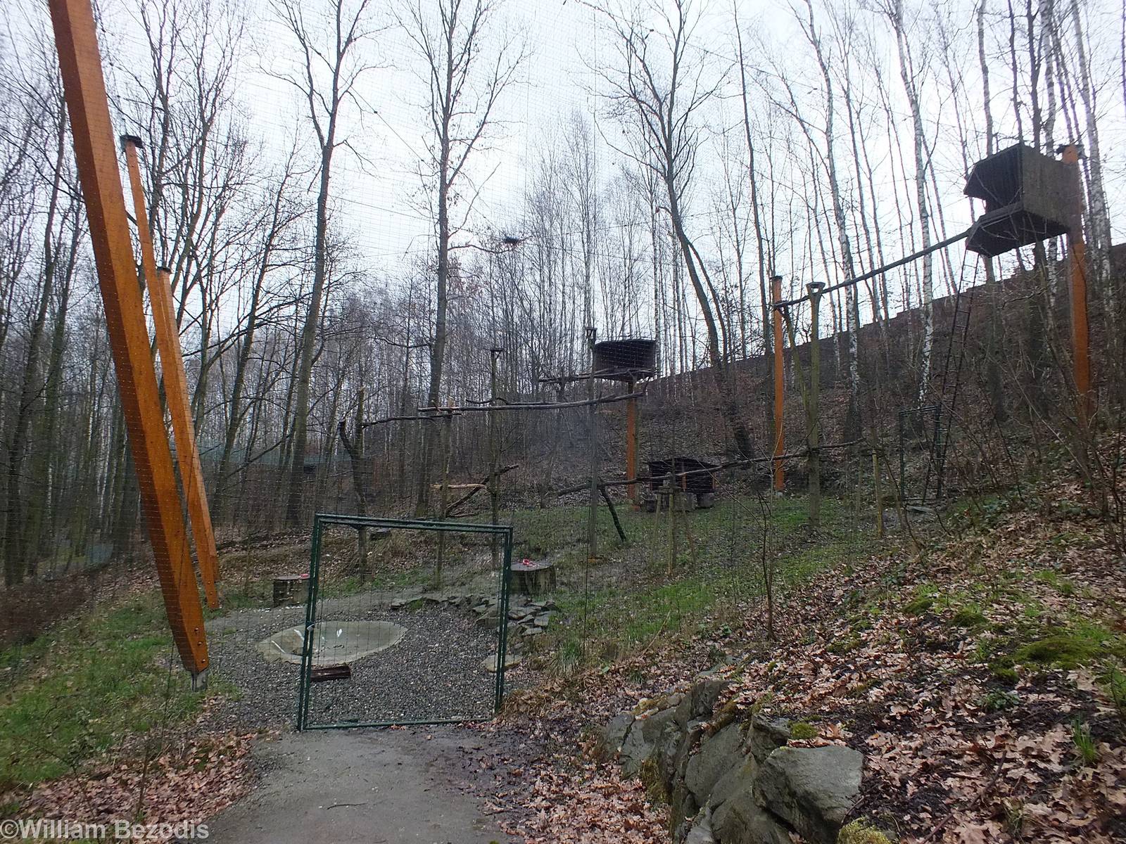 One of the Aviaries for Lammergeier