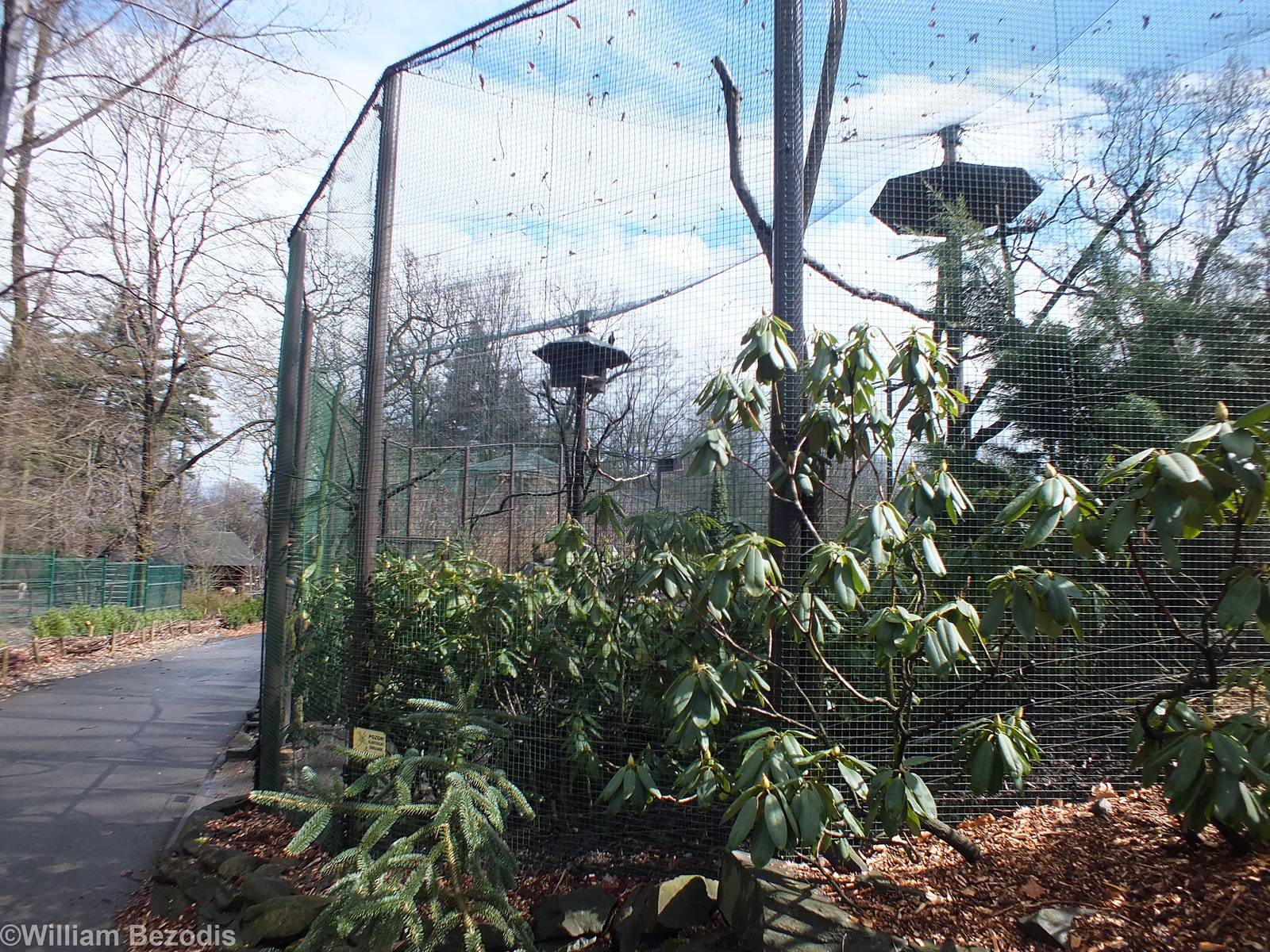 One of the Aviaries in the Chinese Garden - This one for Himalayan Monal an