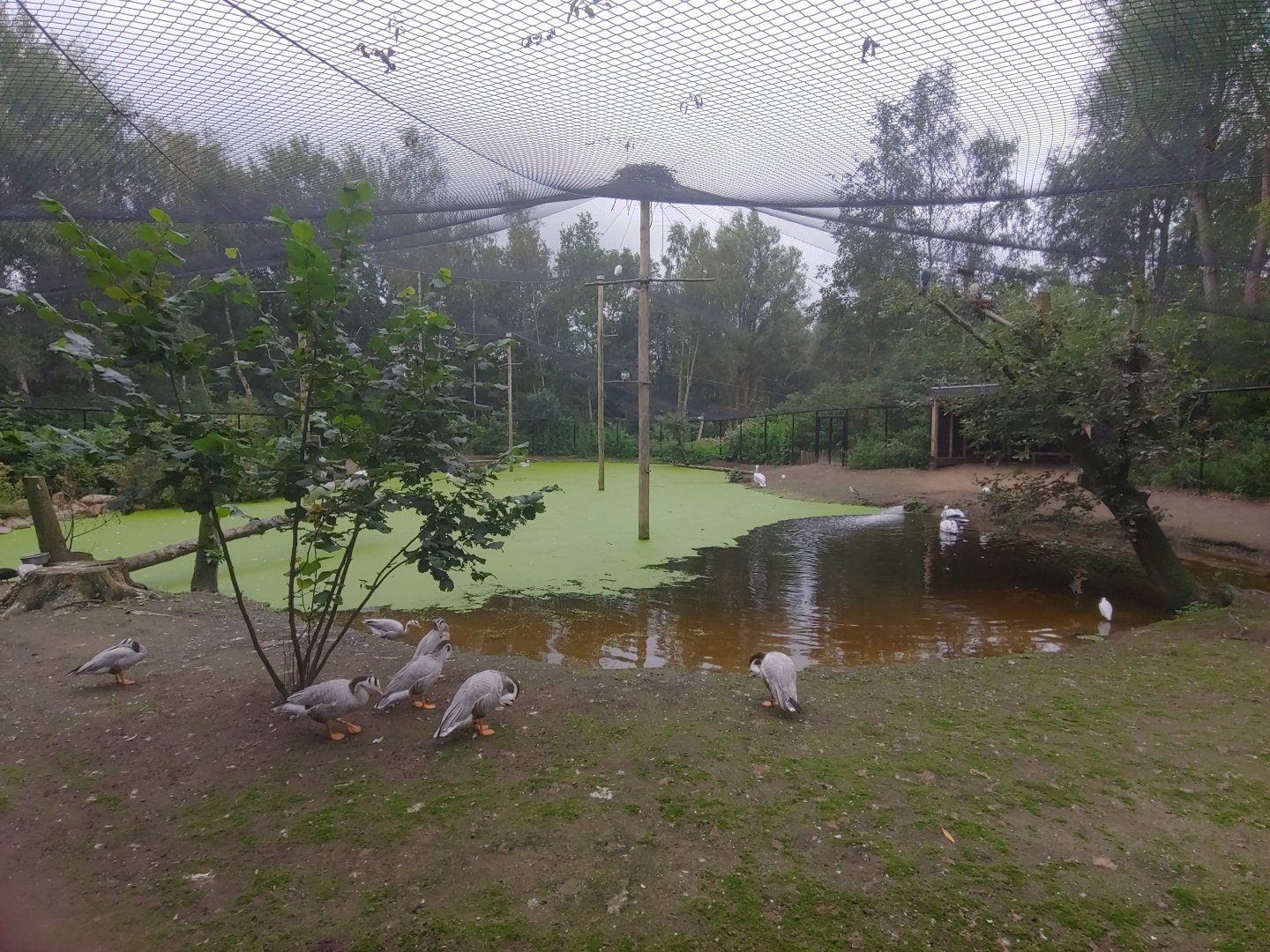 One of the aviaries in the zoo