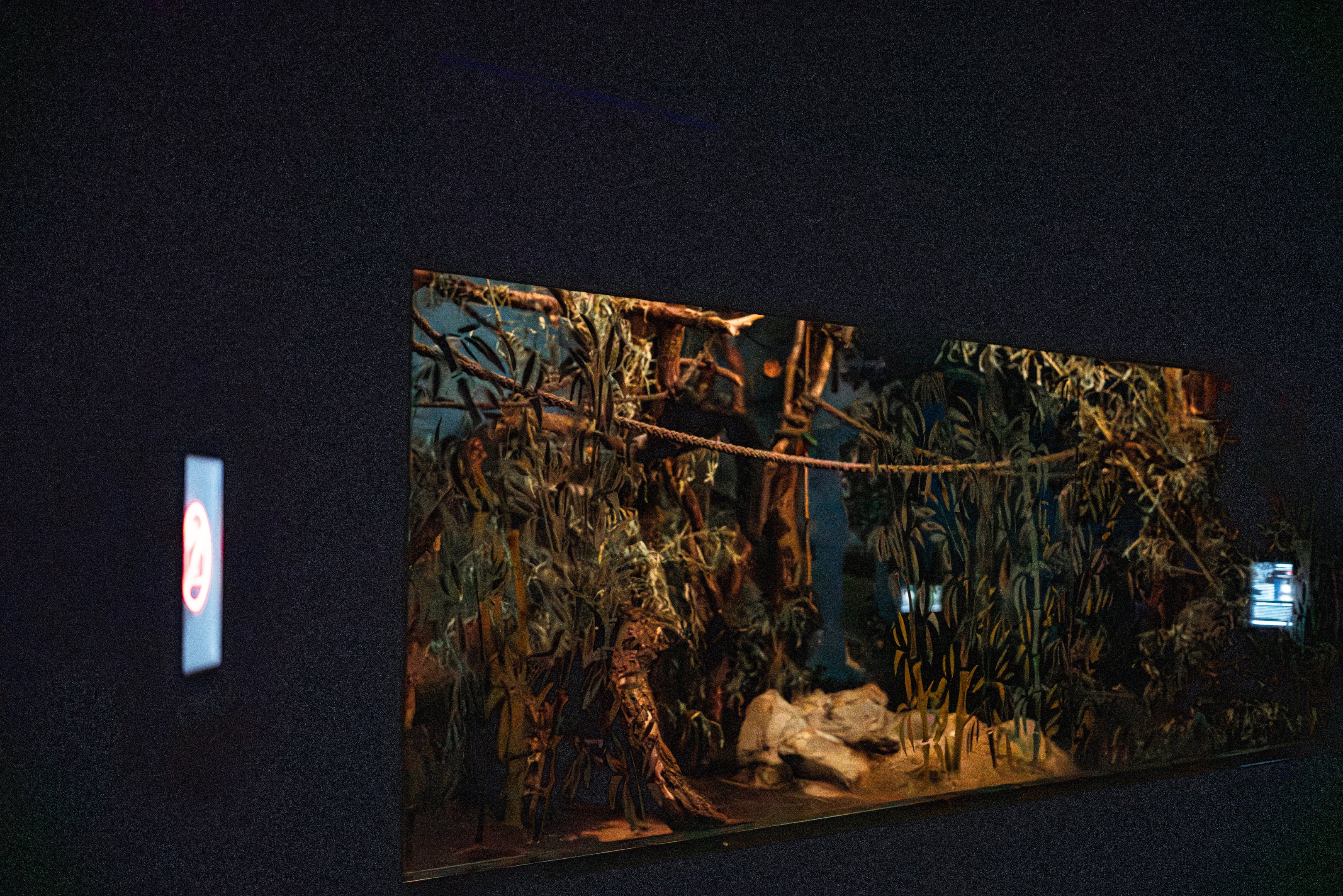 One of the Aye Aye enclosures