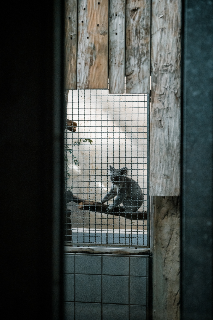 One of the backstage male