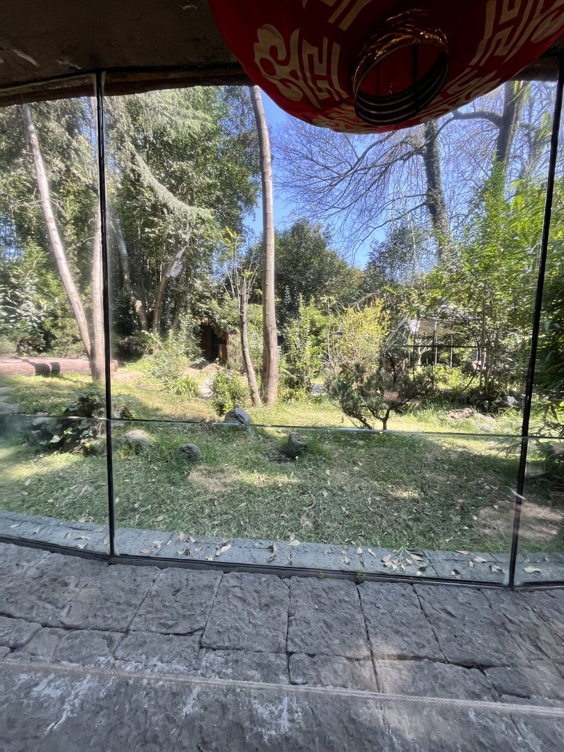 one of the big panda exhibits