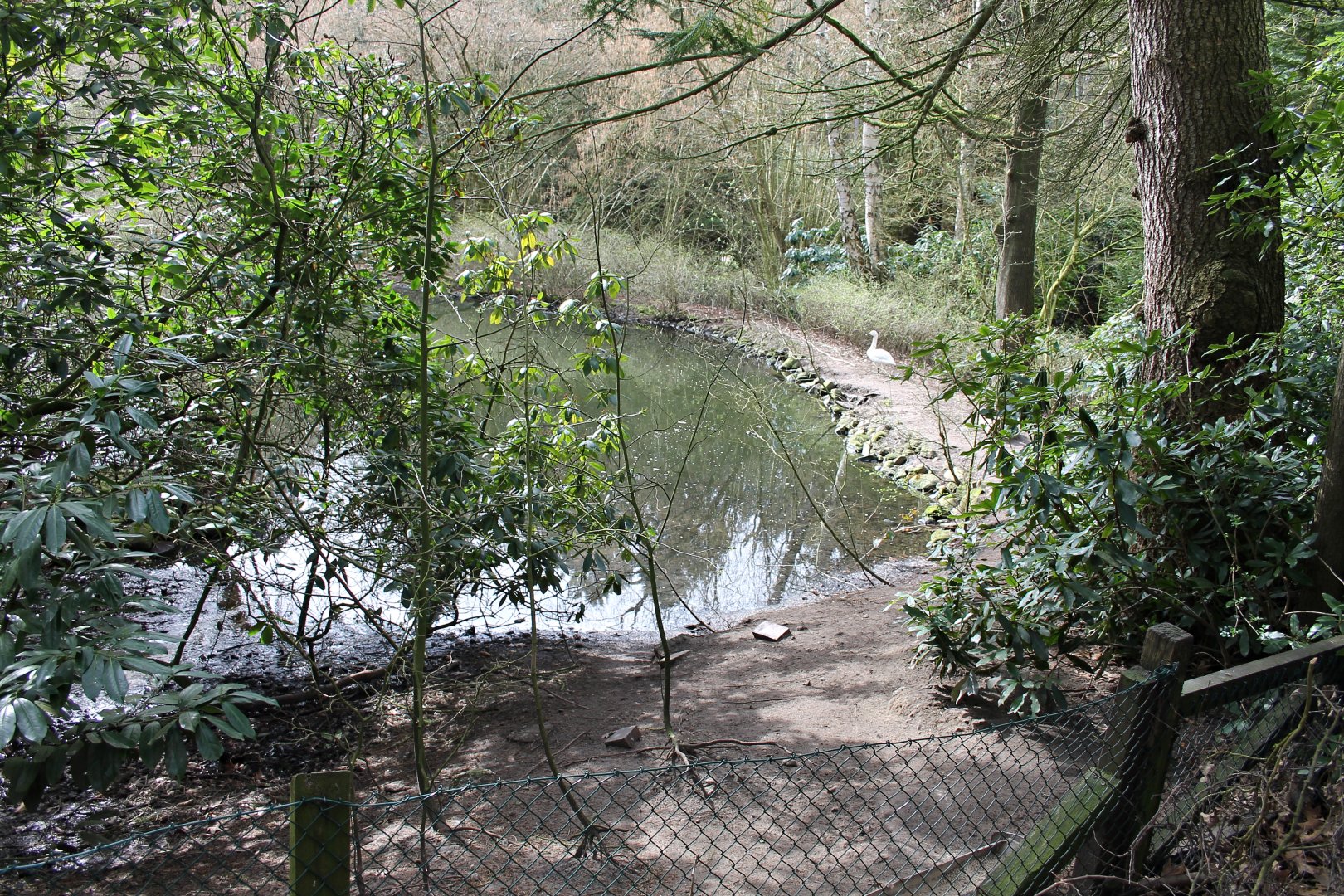 One of the bigger lakes (24/3-19)