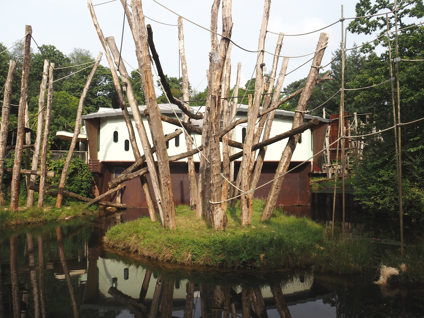 One of the Bornean orangutan islands and Bornean orangutan house, 2024-08-18