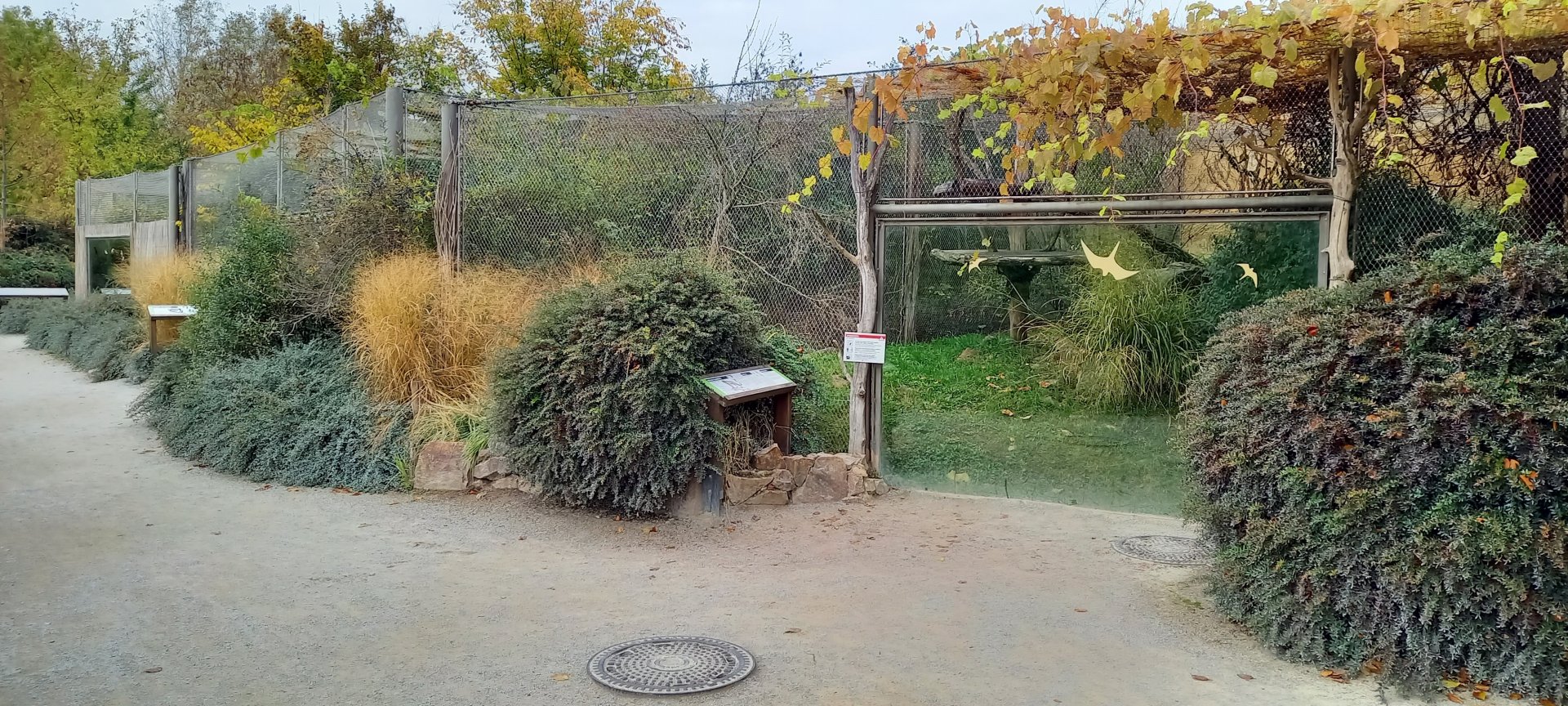One of the cat-outdoor enclosures