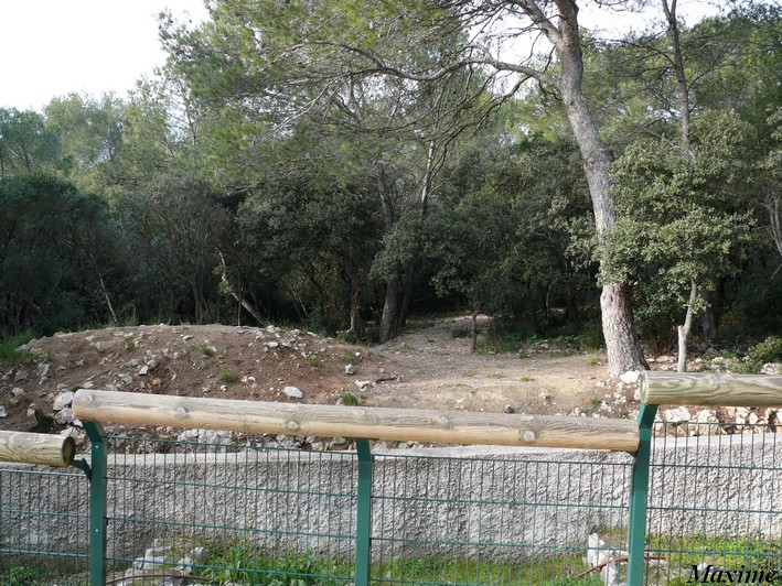 One of the cheetah exhibits