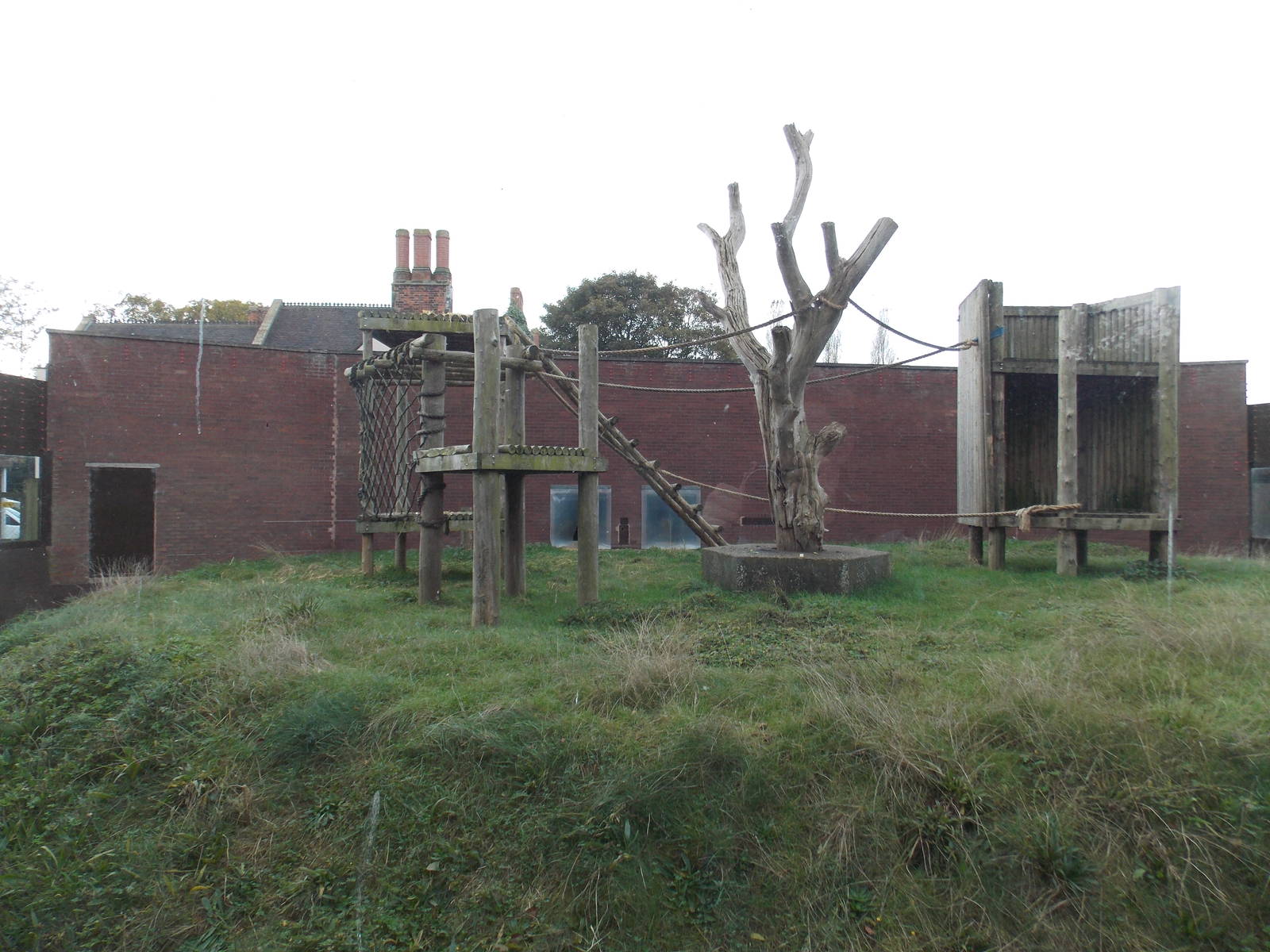 One of the Chimp enclosures