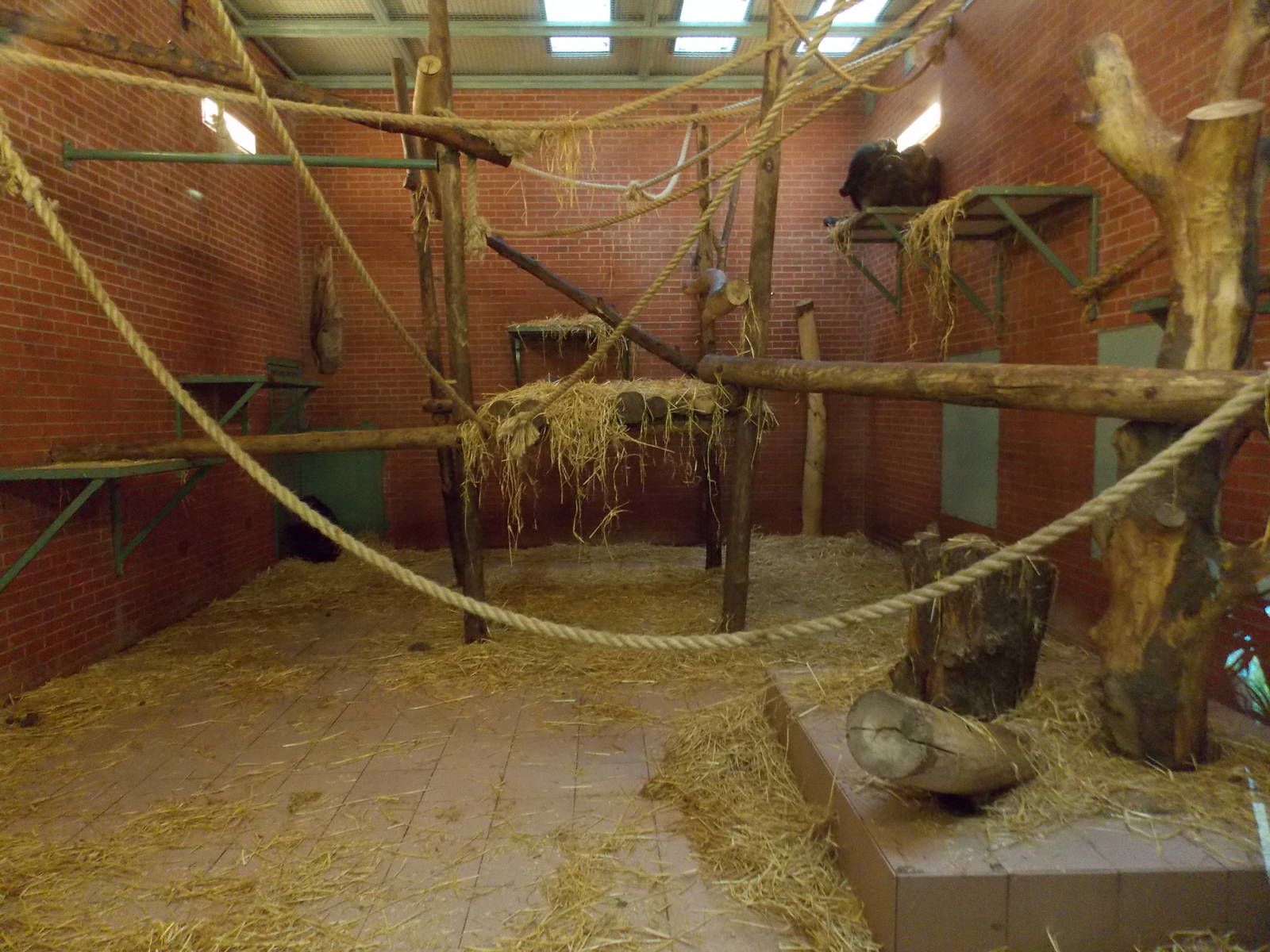 One of the chimp houses