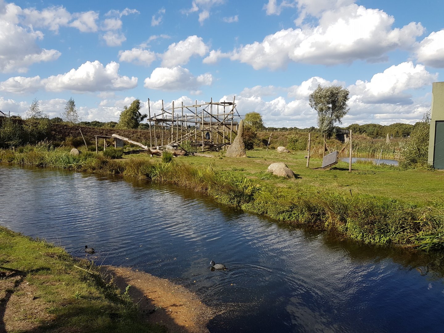 One of the Chimp islands