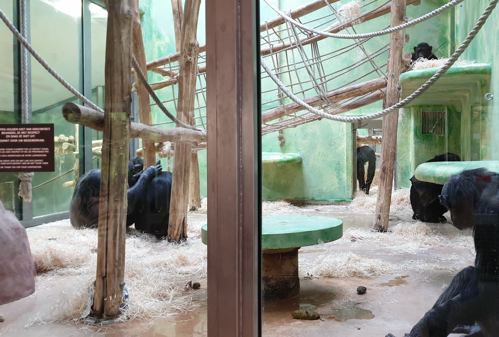One of the Chimpanzee-indoor enclosures
