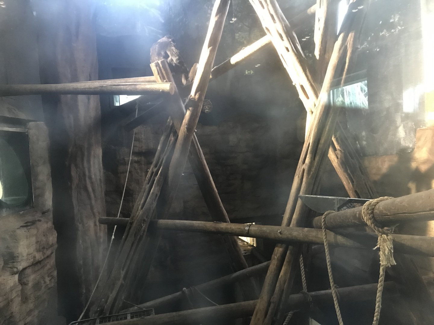 One of the chimpanzee indoor enclosures