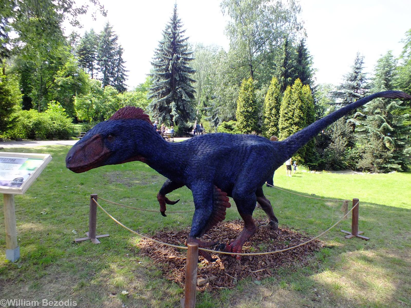 One of The Dinosaur Models