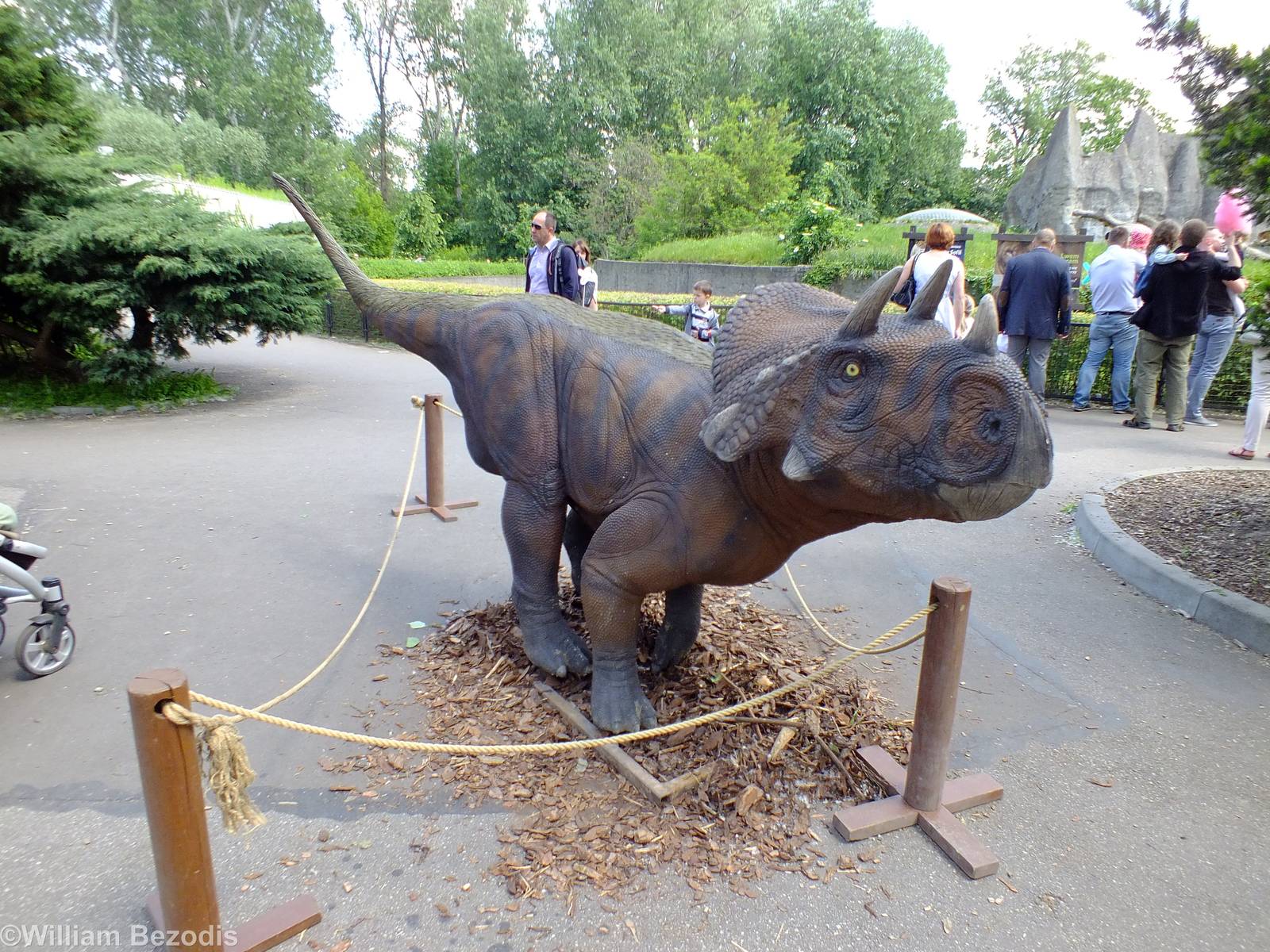 One of the Dinosaur Models