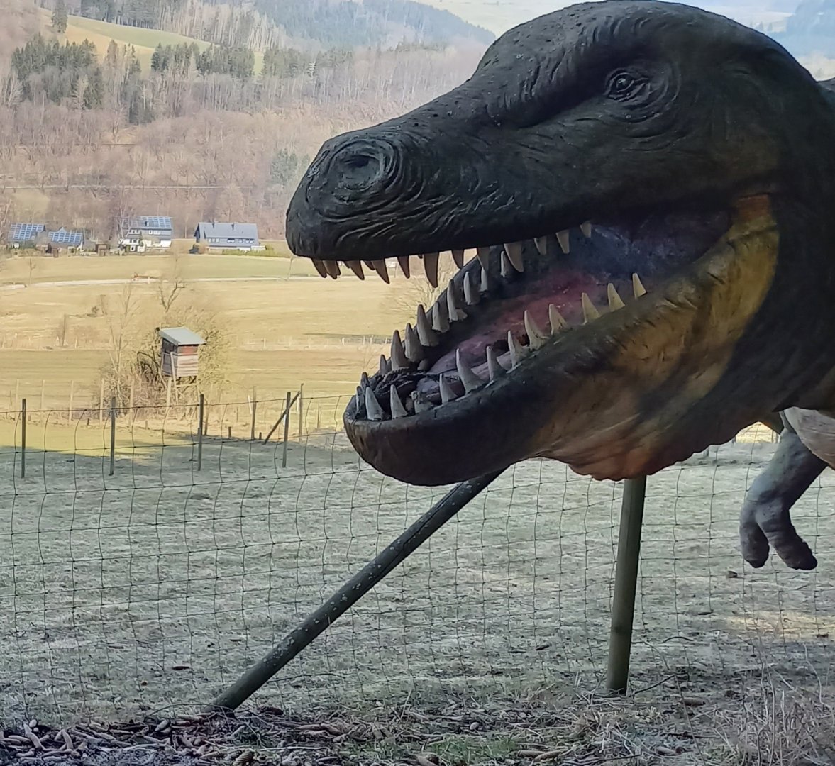 One of the Dinosaurs