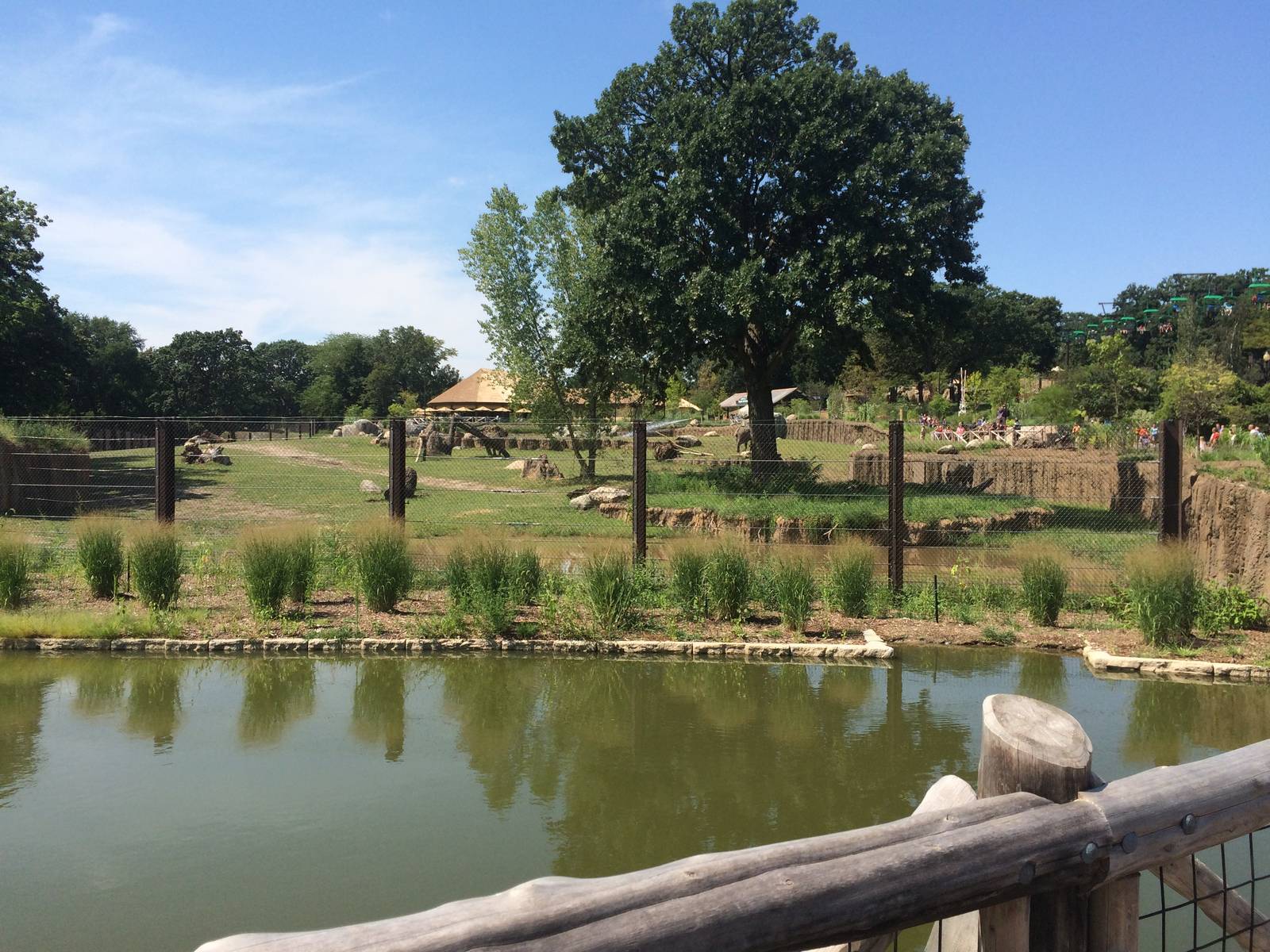 One of the Elephant Habitats Looking From Pelican Bridge