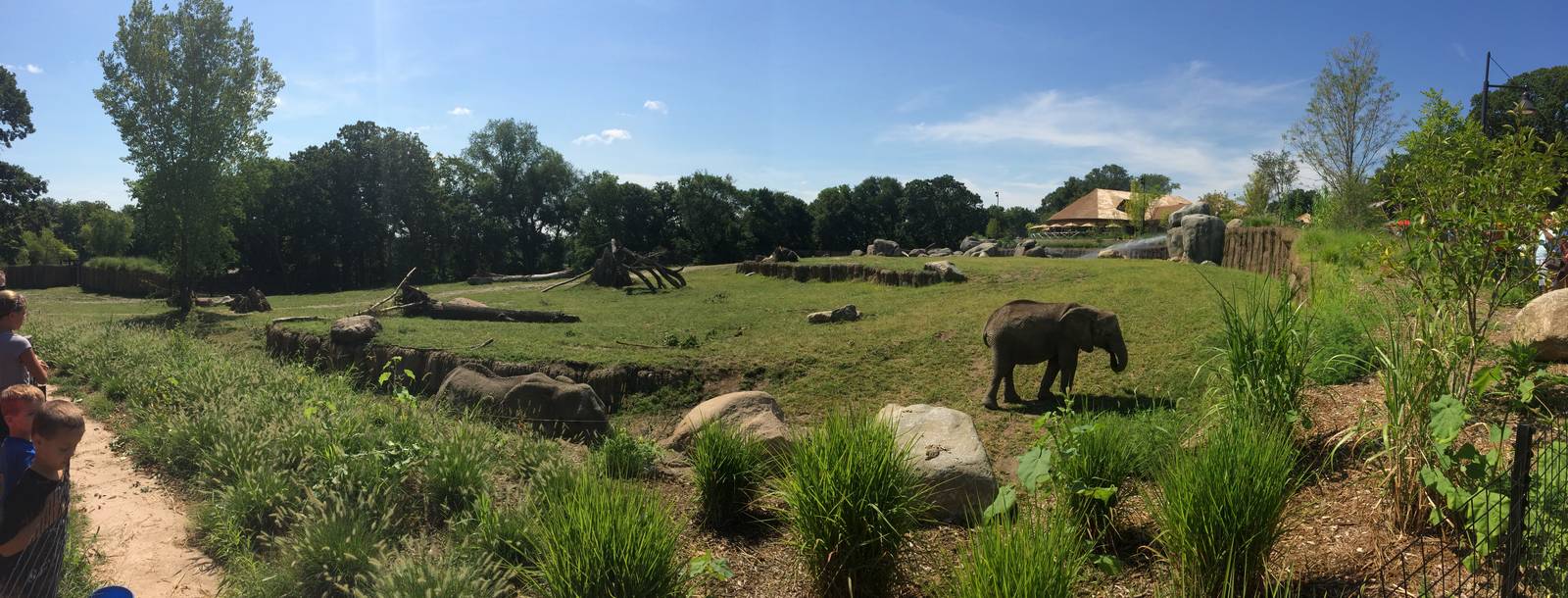 One of the Elephant Habitats Panoramic