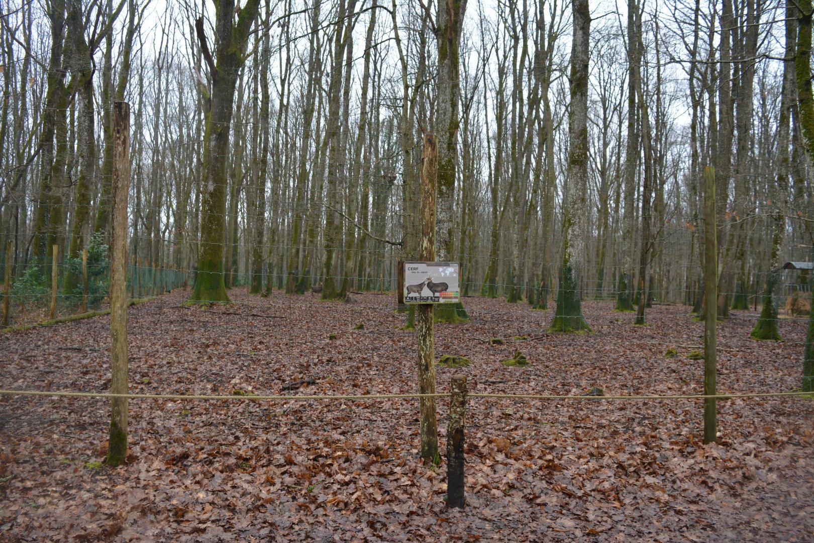 One of the enclosures for ungulates