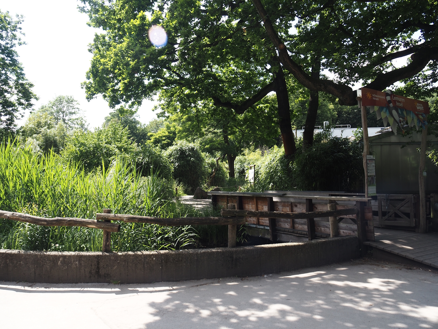One of the entrances to the walk-through ring-tailed lemur and black-and-white ruffed lemur island, 2024-06-08