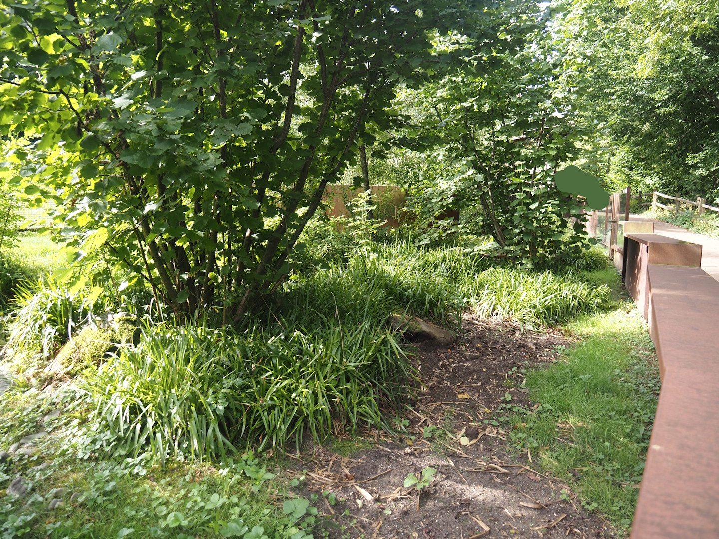 One of the European mink exhibits, 2024-08-21