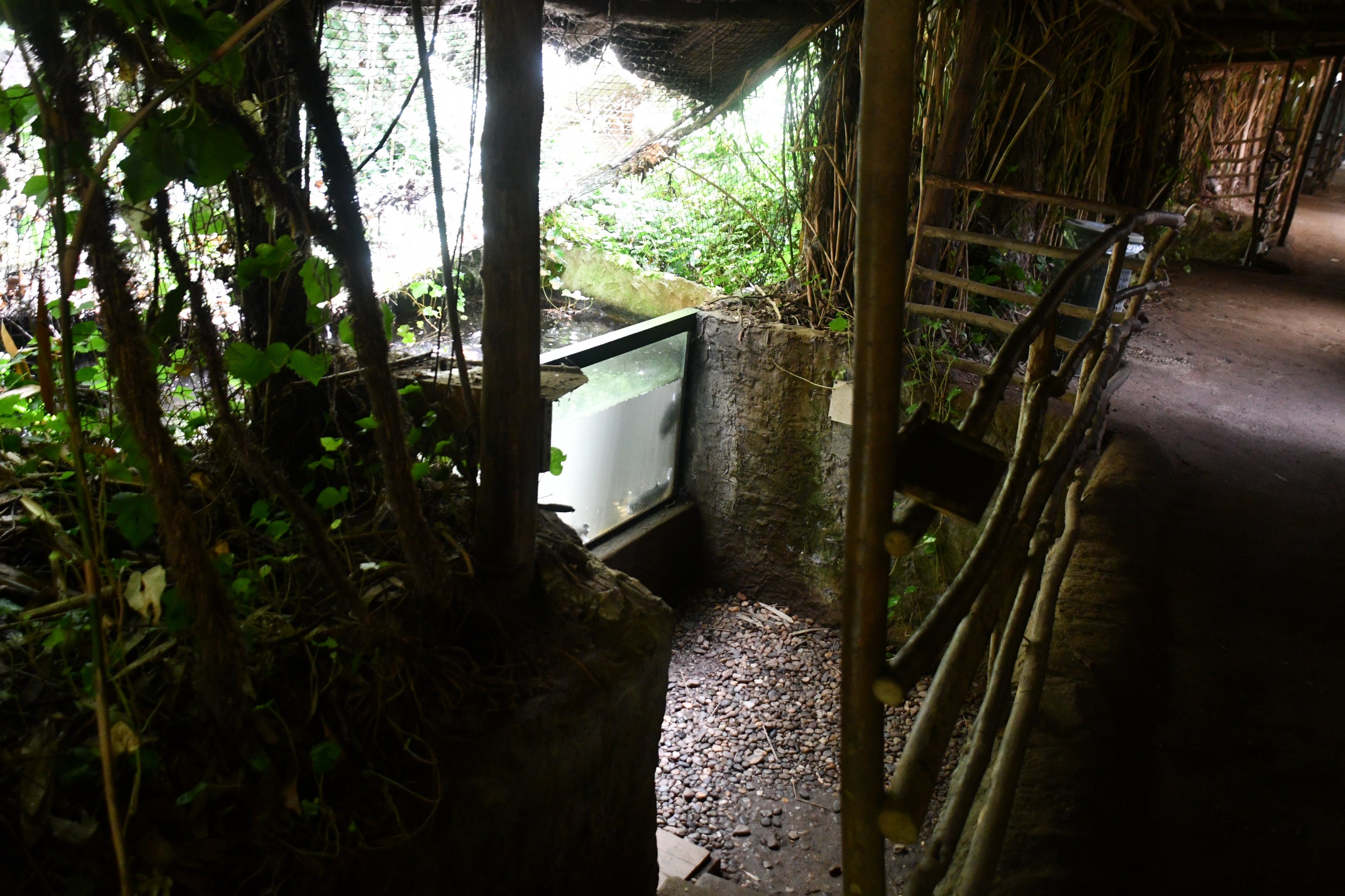 one of the fish tanks in "The River" corridor