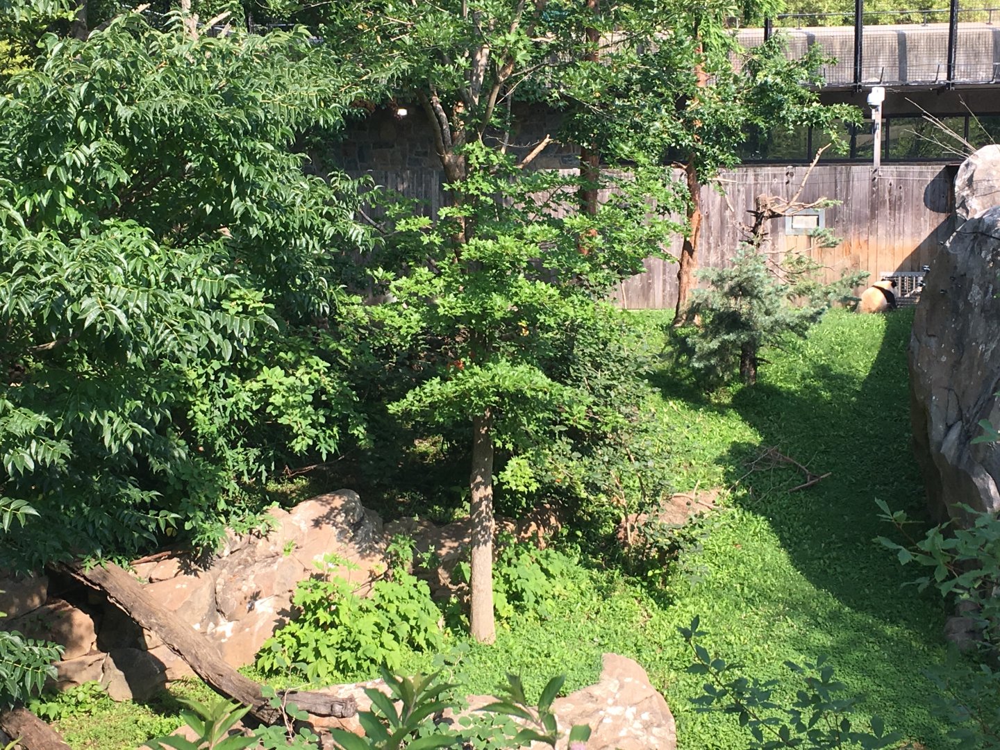 One of the four giant panda habitats